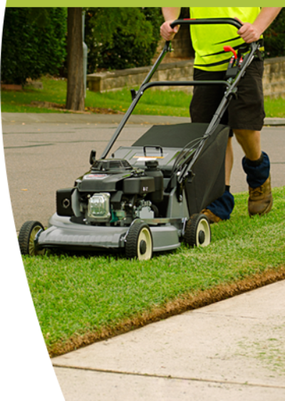 Professional mowing a lawn with a push mower