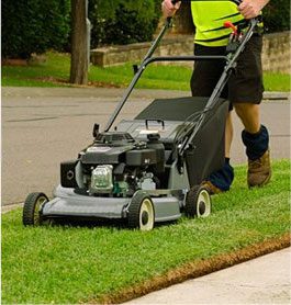 Lawn care services in NSW