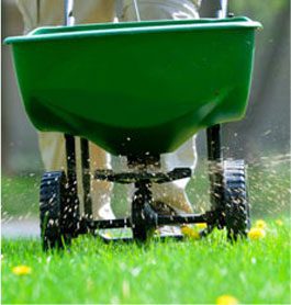 Lawn care services in NSW