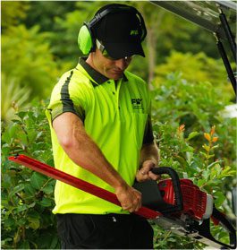 Lawn care services in NSW