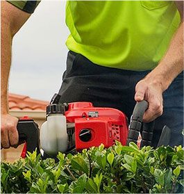 Lawn care services in NSW
