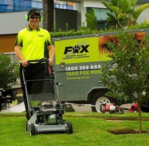 Lawn Mowing Forster