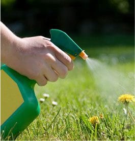 Garden Weed Spraying Sydney