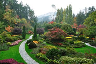 Lawn Mowing Tuncurry