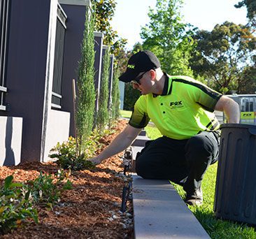 Gardening Services Lake Illawarra