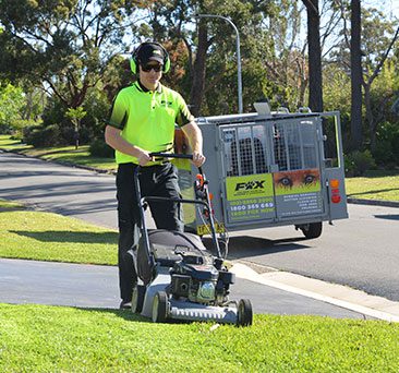 Lawn Mowing Central Coast