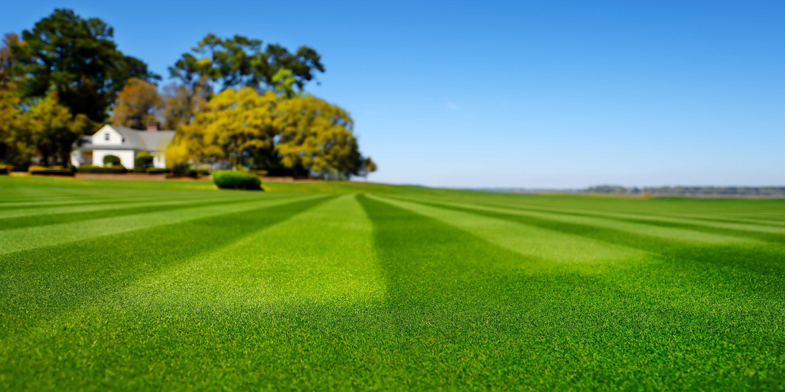 Lawn Mowing and gardening New South Wales