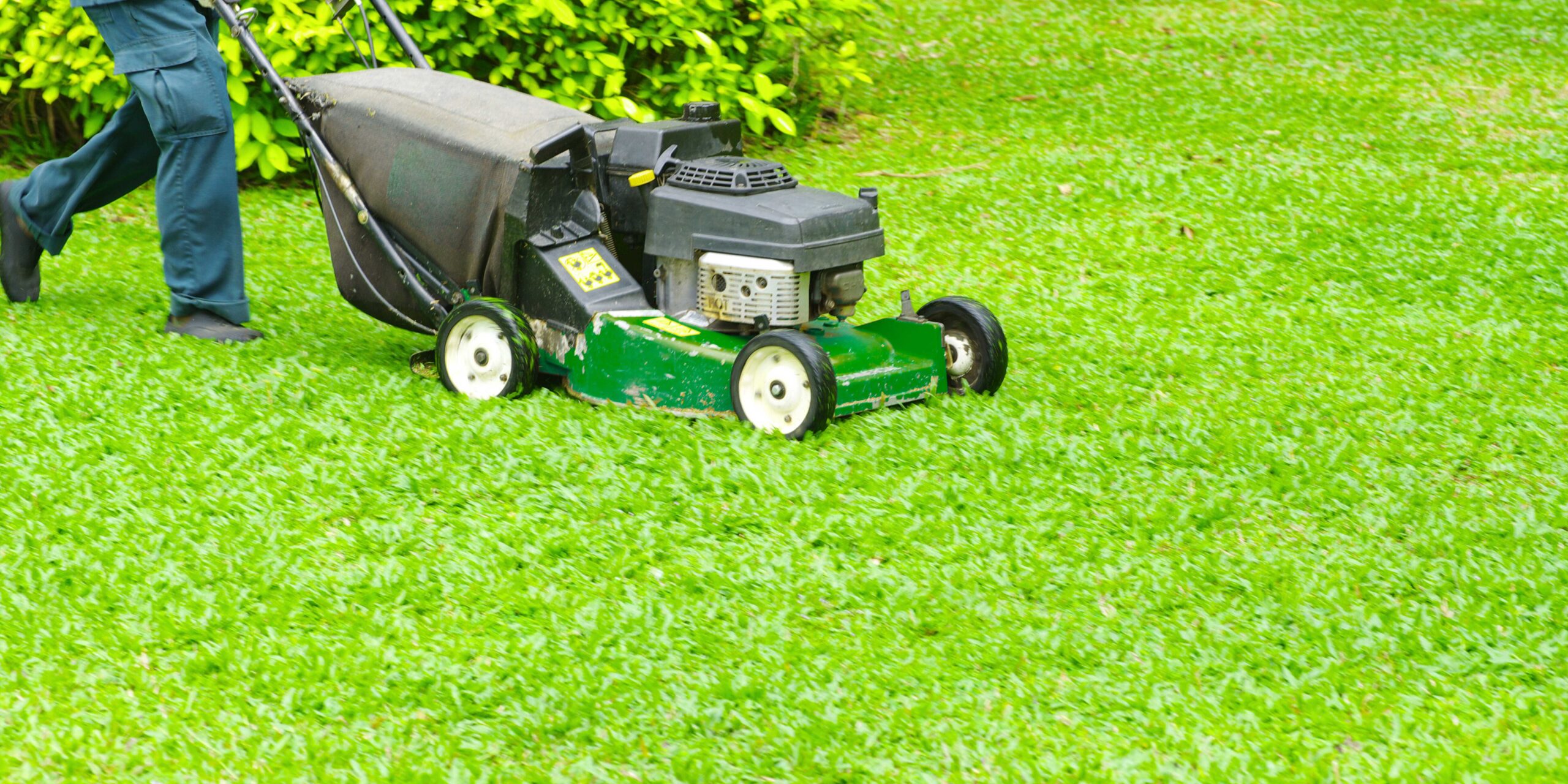Lawn Mowing New South Wales