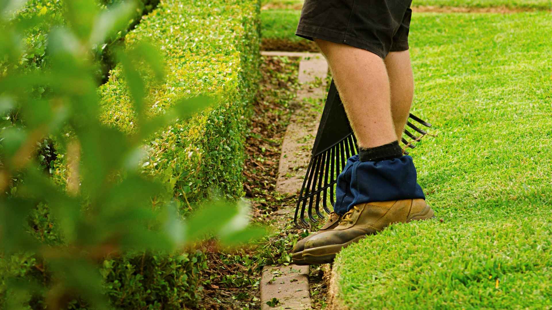 lawn mowing and gardening