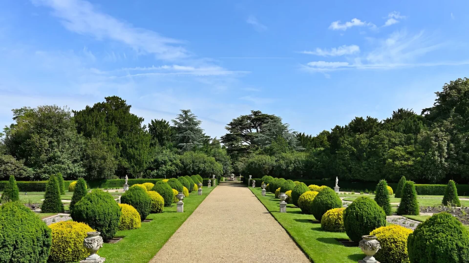 Pruning Services This Summer