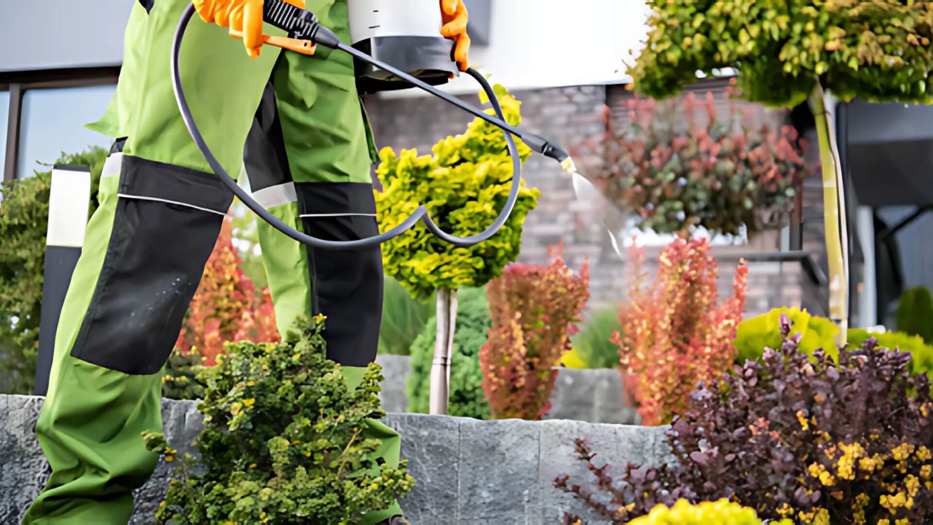 Keep Your Yard Beautiful