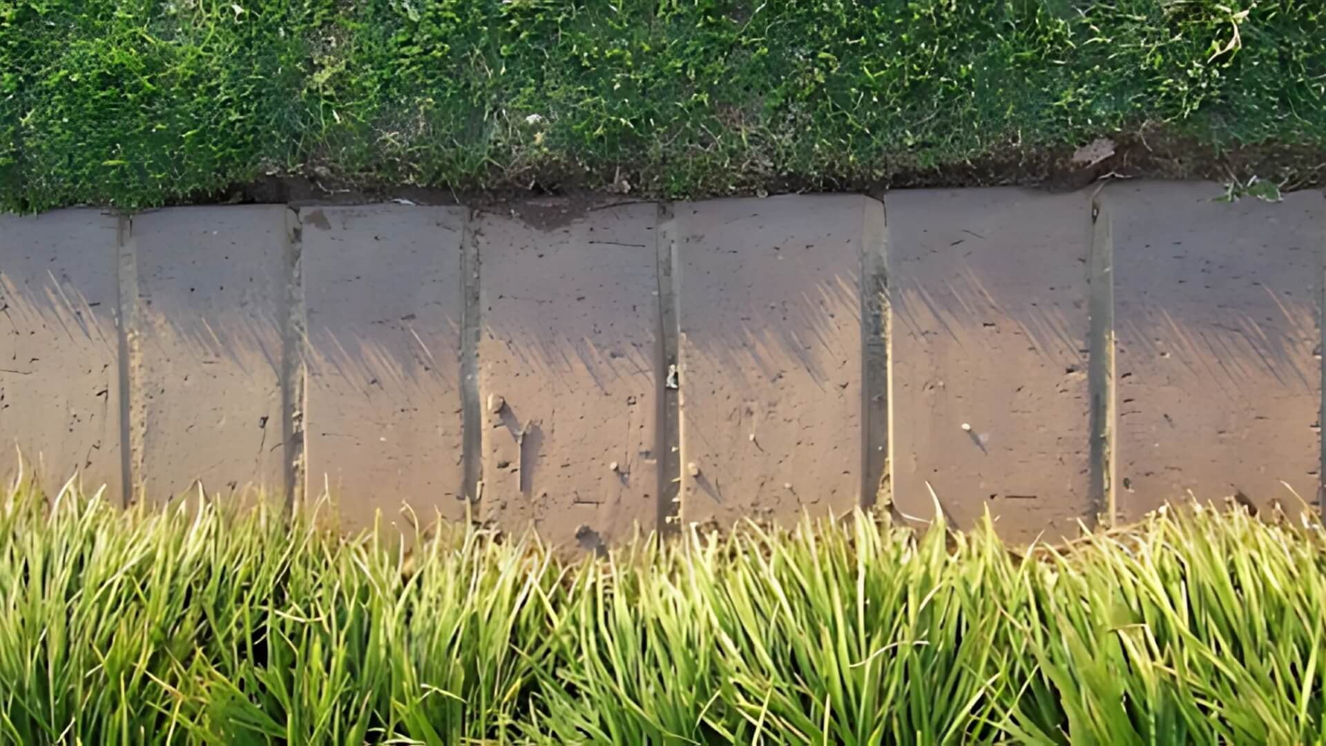 Professional Lawn Edging Services