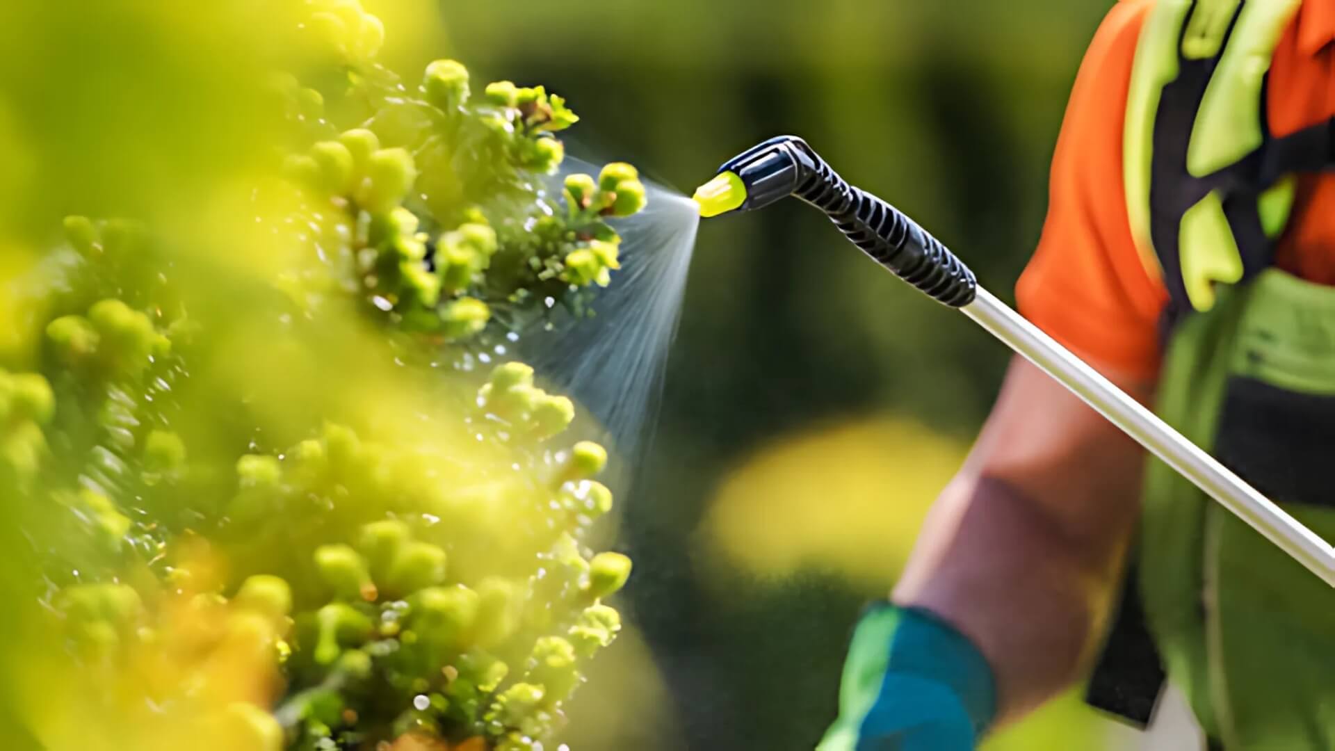 Keep Your Yard Beautiful