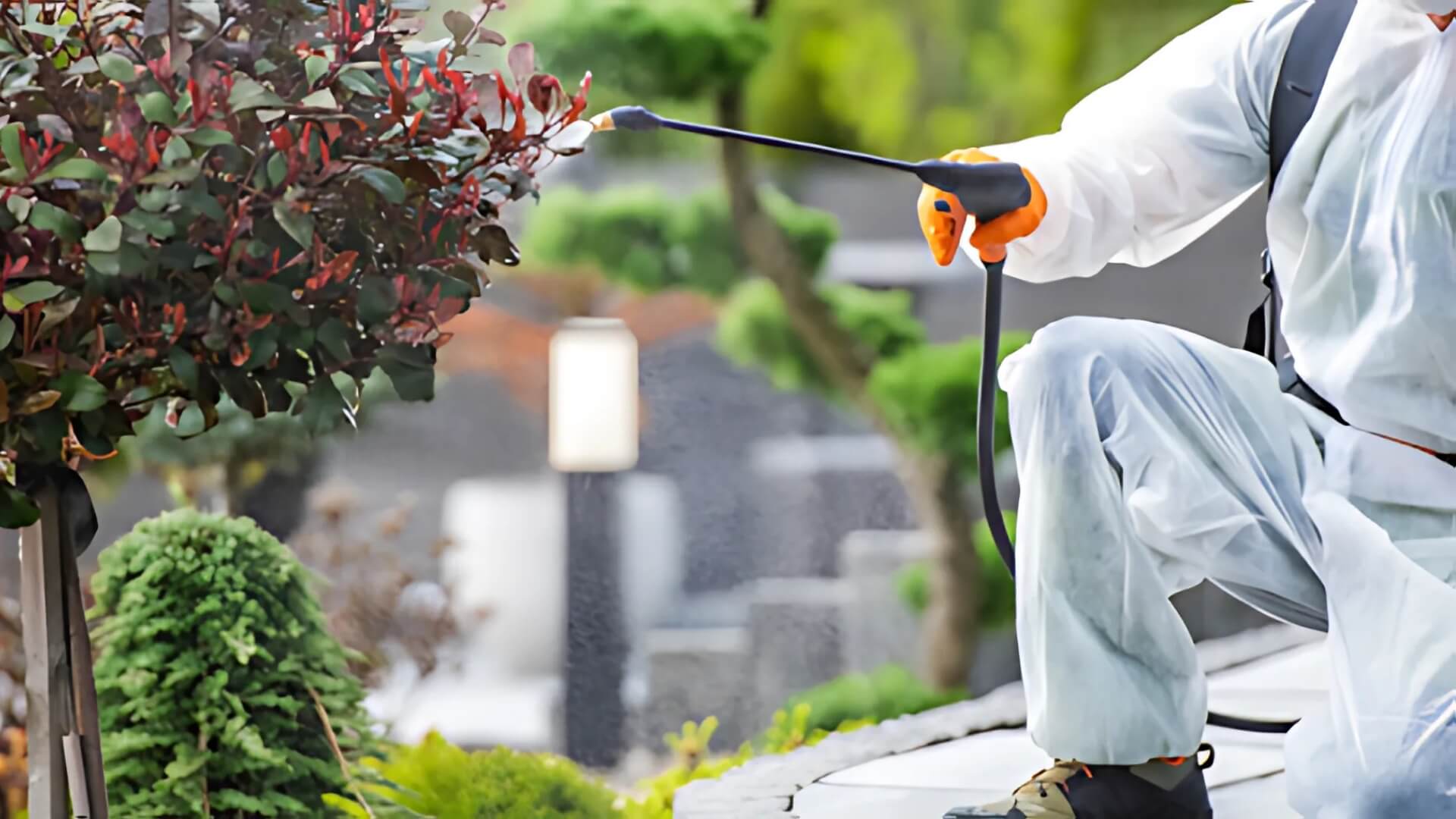 Keep Your Yard Beautiful