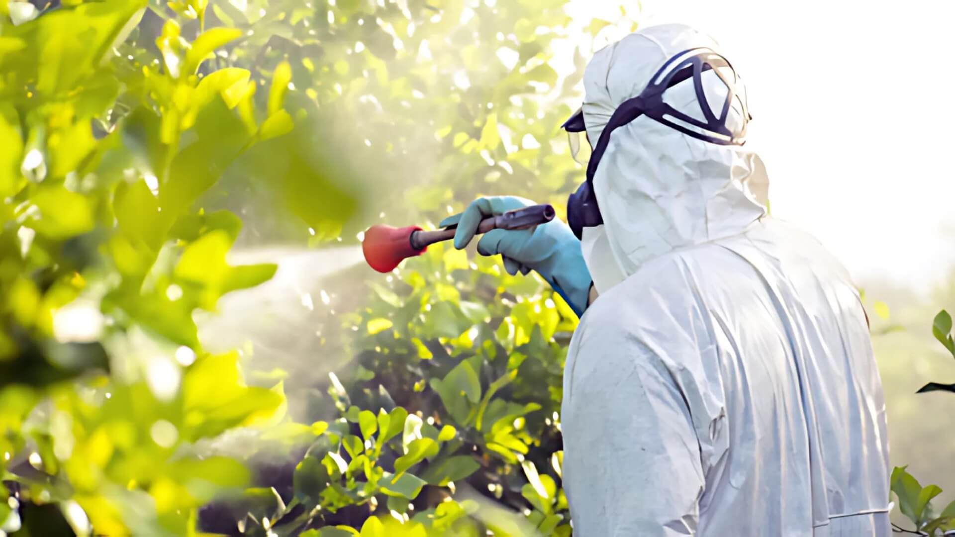 Keep Your Yard Beautiful