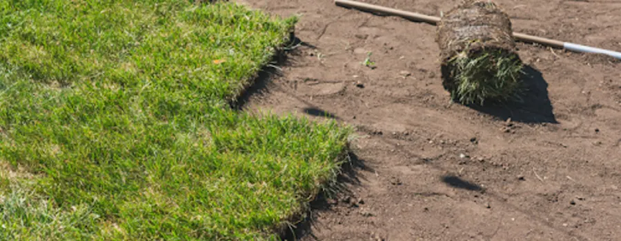 Turf repair and soil enrichment service to improve outdoor areas in NSW