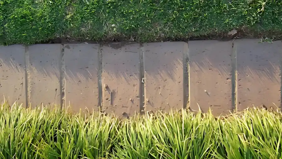 Professional Lawn Edging Services