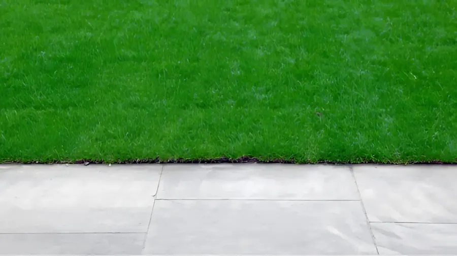 Professional Lawn Edging Services
