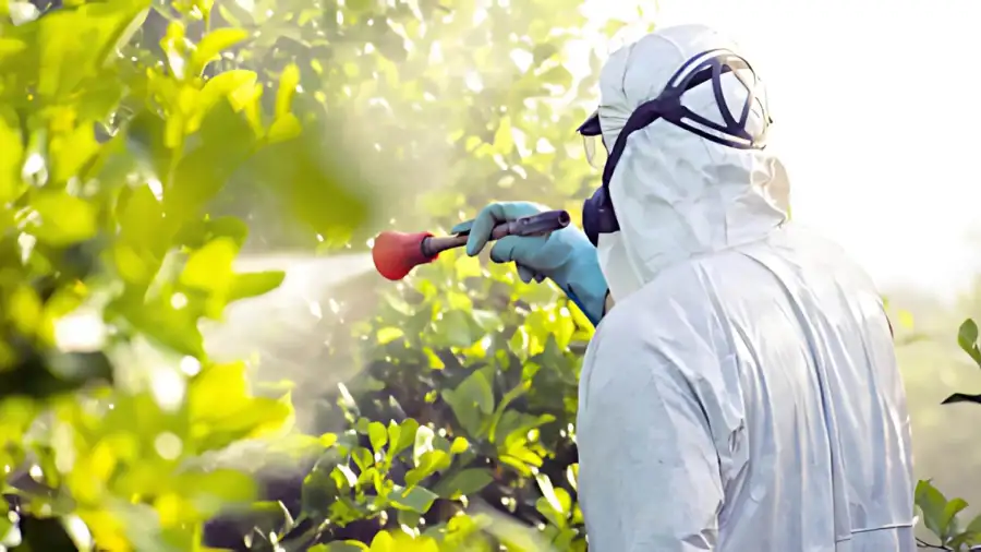 Keep Your Yard Beautiful