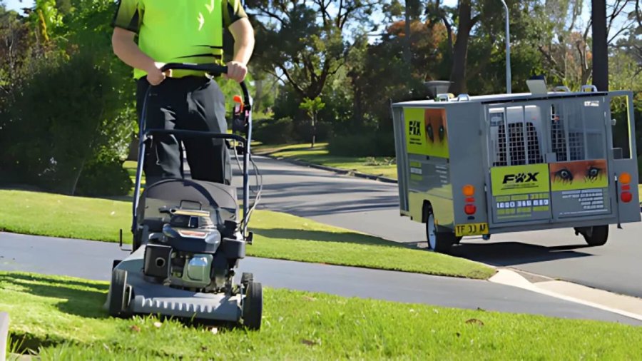 Quality lawn mowing service transforming an overgrown yard