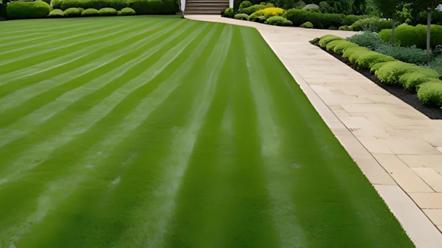 Lawn Mowing Services