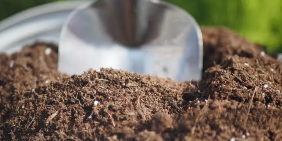 Fertilising to build soil structure and encourage root development in autumn