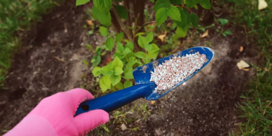 Healthy lawn soil structure after fertilisation treatment